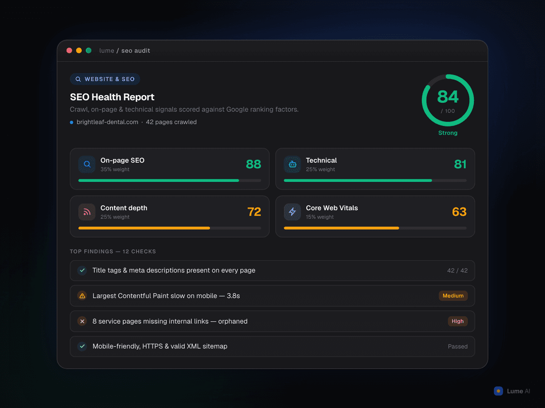 SEO audit score breakdown showing 100+ checks across on-page, technical, structured data, and page speed